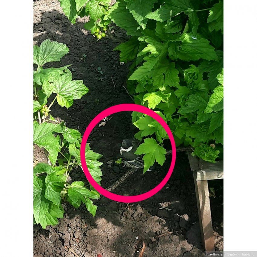 Обыкновенное чудо — Разные шарнирные куклы (не БЖД): редкие