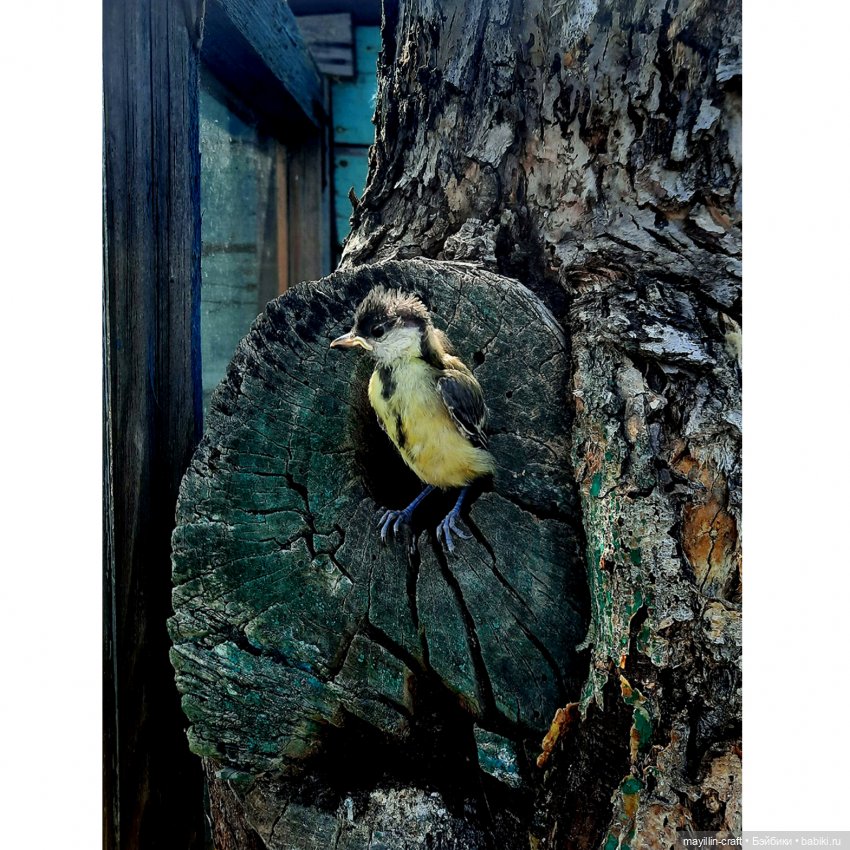 Обыкновенное чудо — Разные шарнирные куклы (не БЖД): редкие