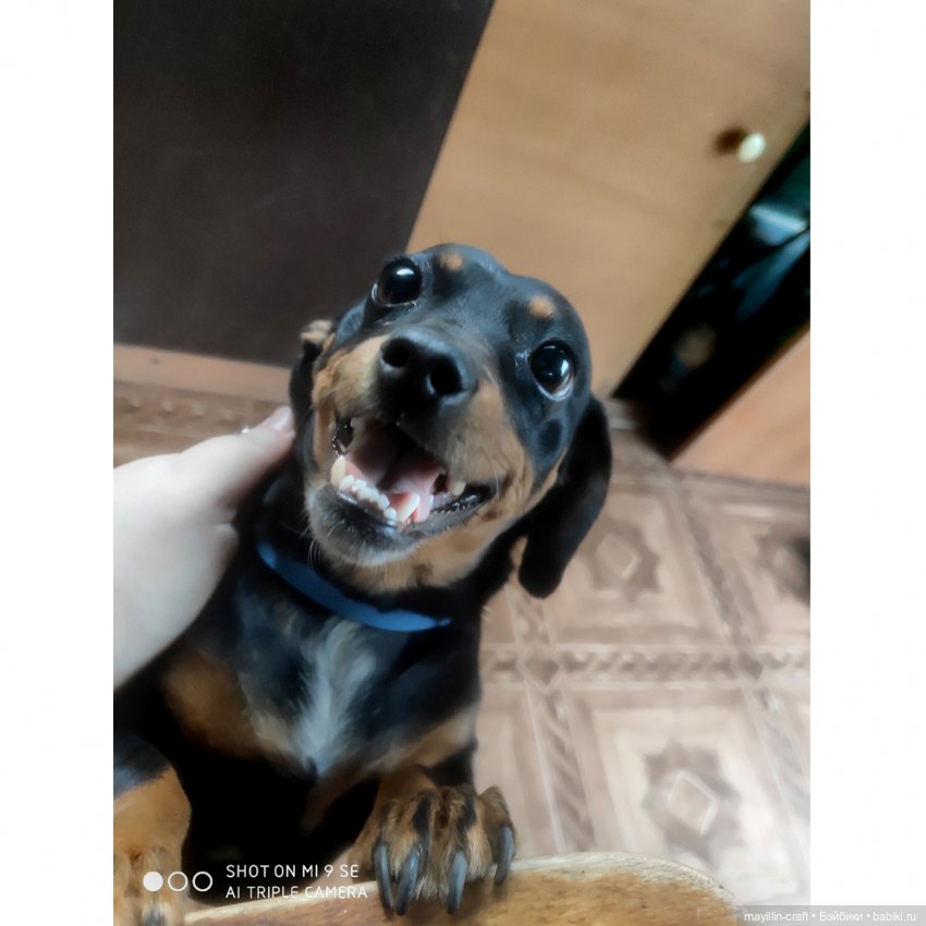 Обыкновенное чудо — Разные шарнирные куклы (не БЖД): редкие