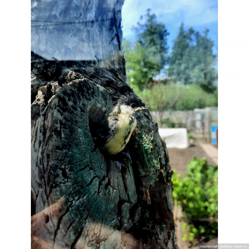 Обыкновенное чудо — Разные шарнирные куклы (не БЖД): редкие