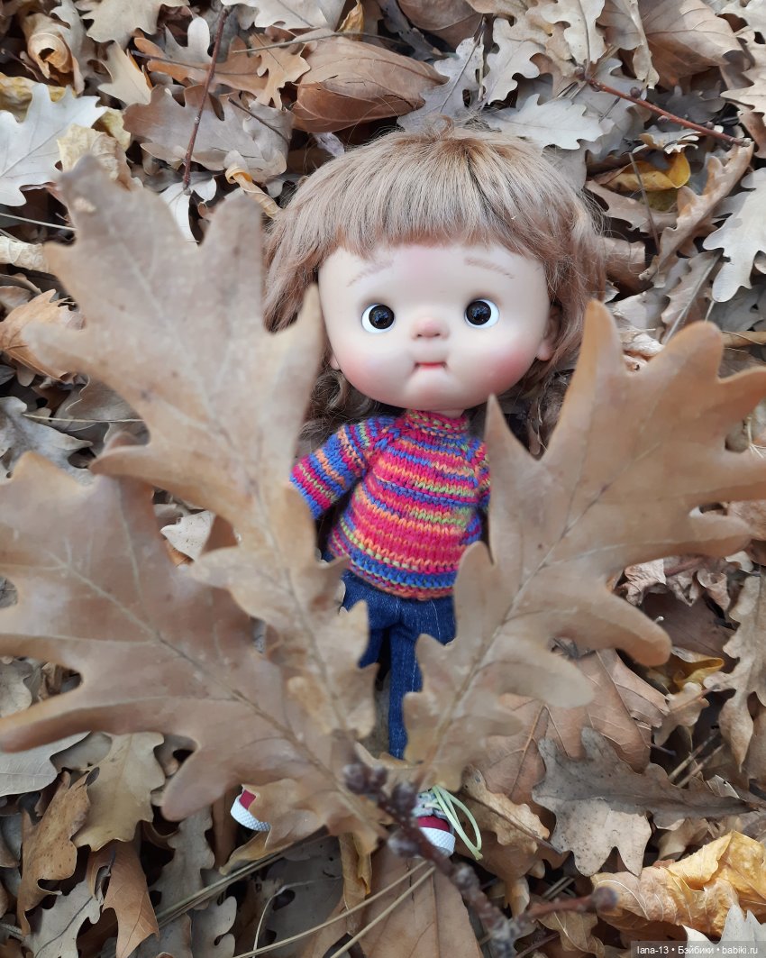 Остановка - Осень — Игровые куклы разных производителей (Разное): редкие бренды (фото 2)