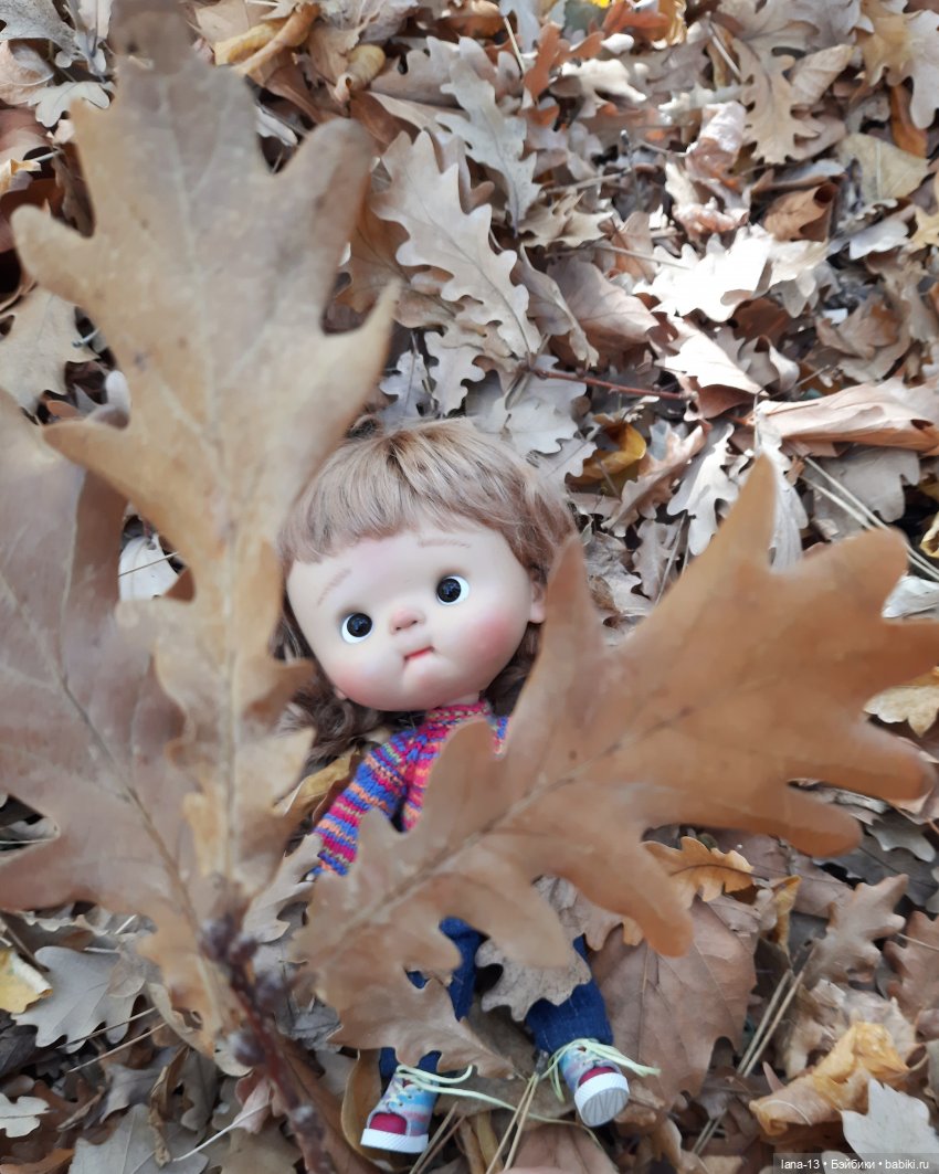 Остановка - Осень — Игровые куклы разных производителей (Разное): редкие бренды