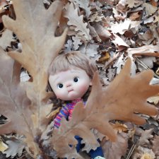 Остановка - Осень!