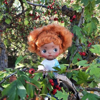 Остановка - Осень!