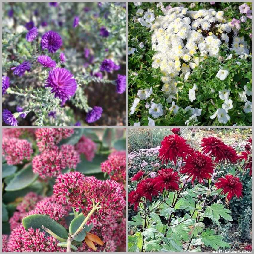 Прогулка выходного дня — Одежда и обувь для кукол своими руками: фото (фото 2)