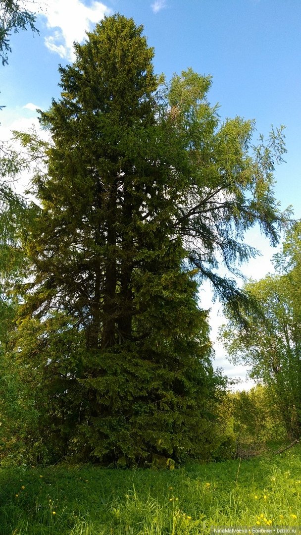 Дачные зарисовки — Куклы Baboliy (Баболи (фото 5)