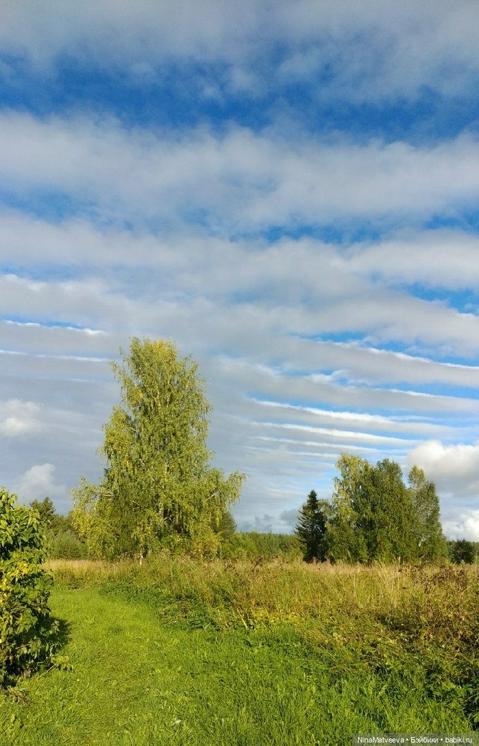 Дачные зарисовки — Куклы Baboliy (Баболи