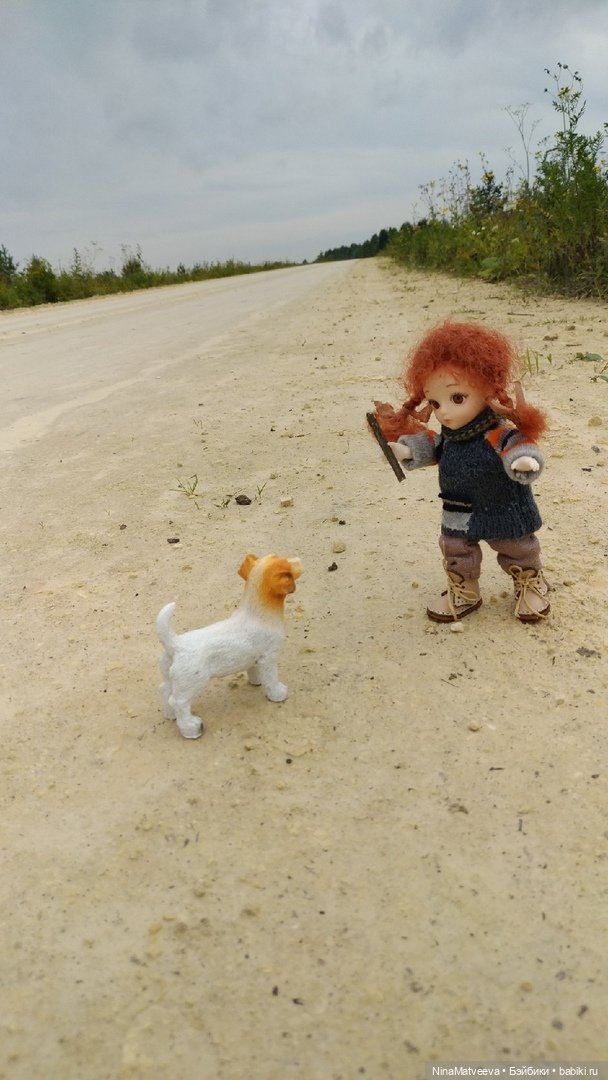Дачные зарисовки — Куклы Baboliy (Баболи