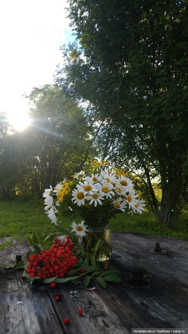 Дачные зарисовки — Куклы Baboliy (Баболи