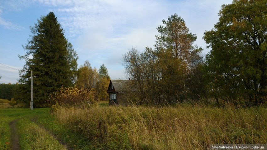 И снова дачные зарисовки — Куклы Baboliy (Баболи (фото 2)