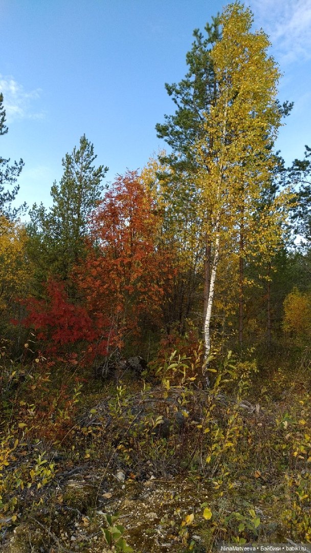 И снова дачные зарисовки — Куклы Baboliy (Баболи (фото 4)