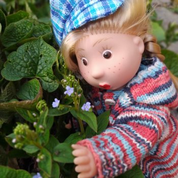 Вы же мои милые, вы ж мои красивые!