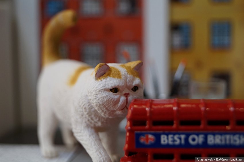 Агентство по поиску пропавших домашних животных «Св. Герасим». Детективная мелодрама. 3 (фото 10)