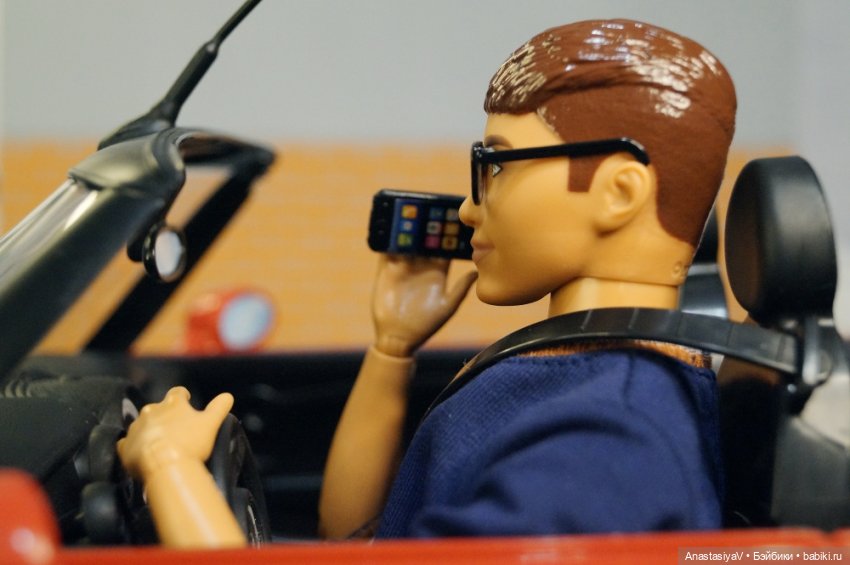 Агентство по поиску пропавших домашних животных «Св. Герасим». Детективная мелодрама. 4