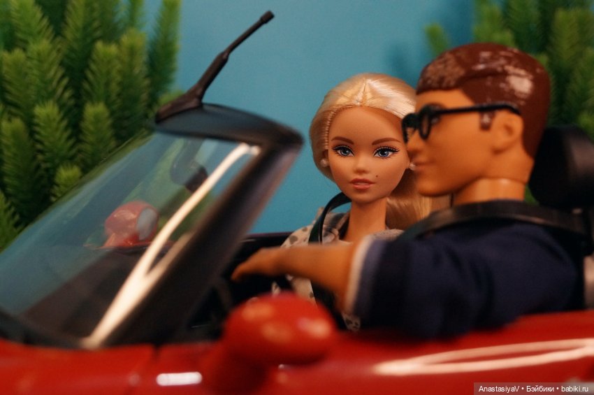 Агентство по поиску пропавших домашних животных «Св. Герасим». Детективная мелодрама. 4