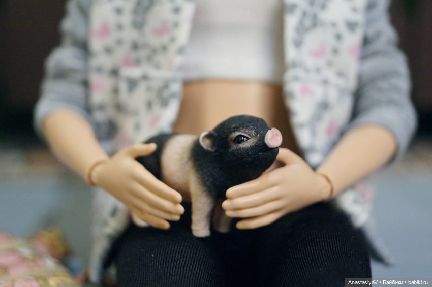 Агентство по поиску пропавших домашних животных «Св. Герасим». Детективная мелодрама. 4