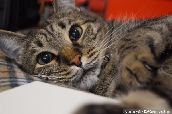 Все, что нас не убивает — Болталка и разговоры обо всем: жизнь