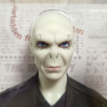 Добро пожаловать, Волдеморт