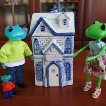 Мои лягушечки Wonder frog