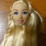 Тела и головы барбиобразных