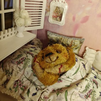 Ленивчик дома