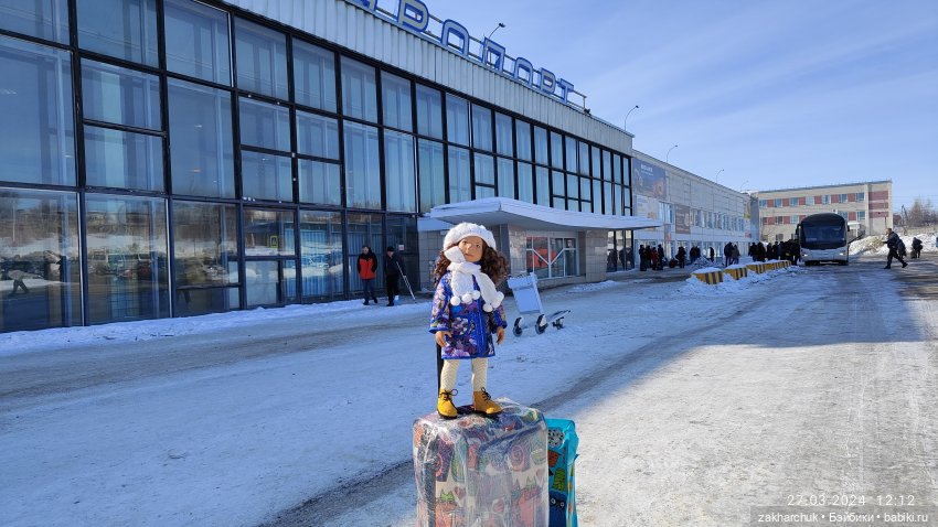 "Зимнее путешествие Вилки в Магадан"