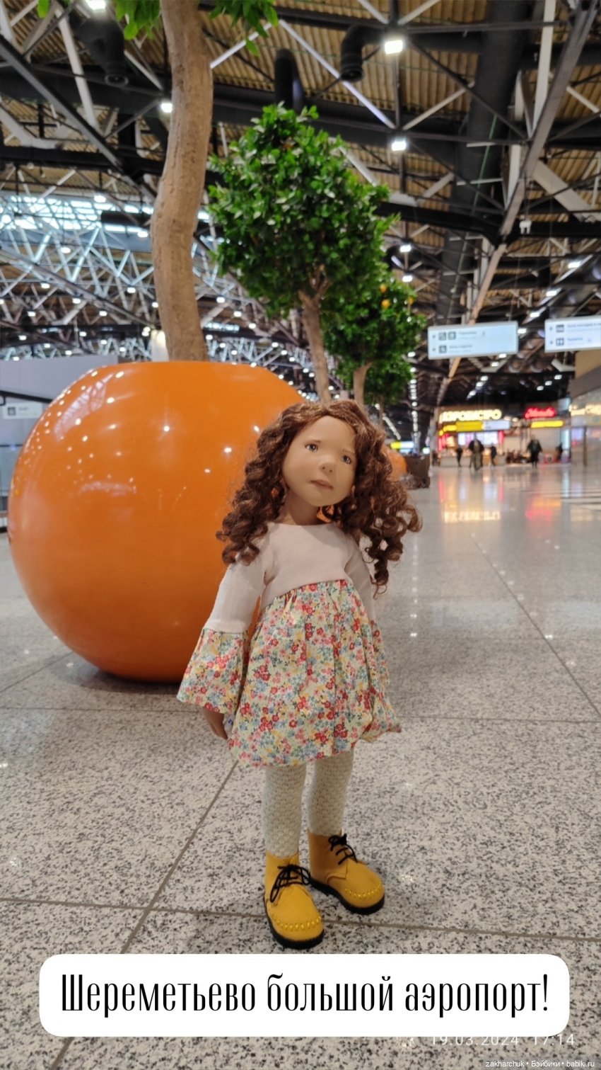 "Зимнее путешествие Вилки в Магадан"