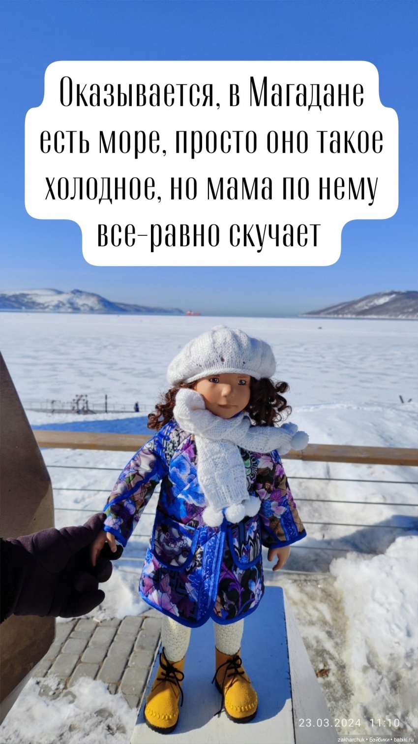 "Зимнее путешествие Вилки в Магадан"