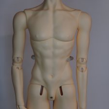 продам мужское тело Impldoll 75см в нормале