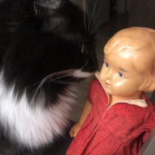 Мамина кукла