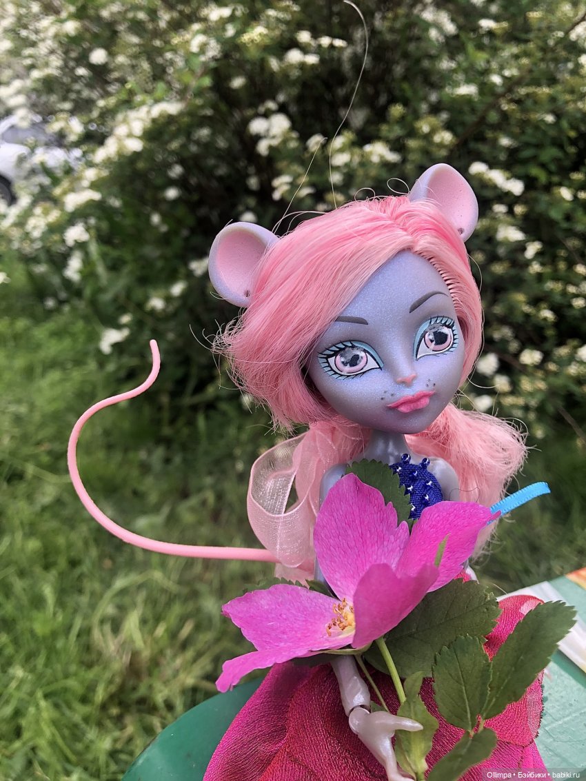 Мышка на свадьбе — Куклы Monster High и Ever After High: G1