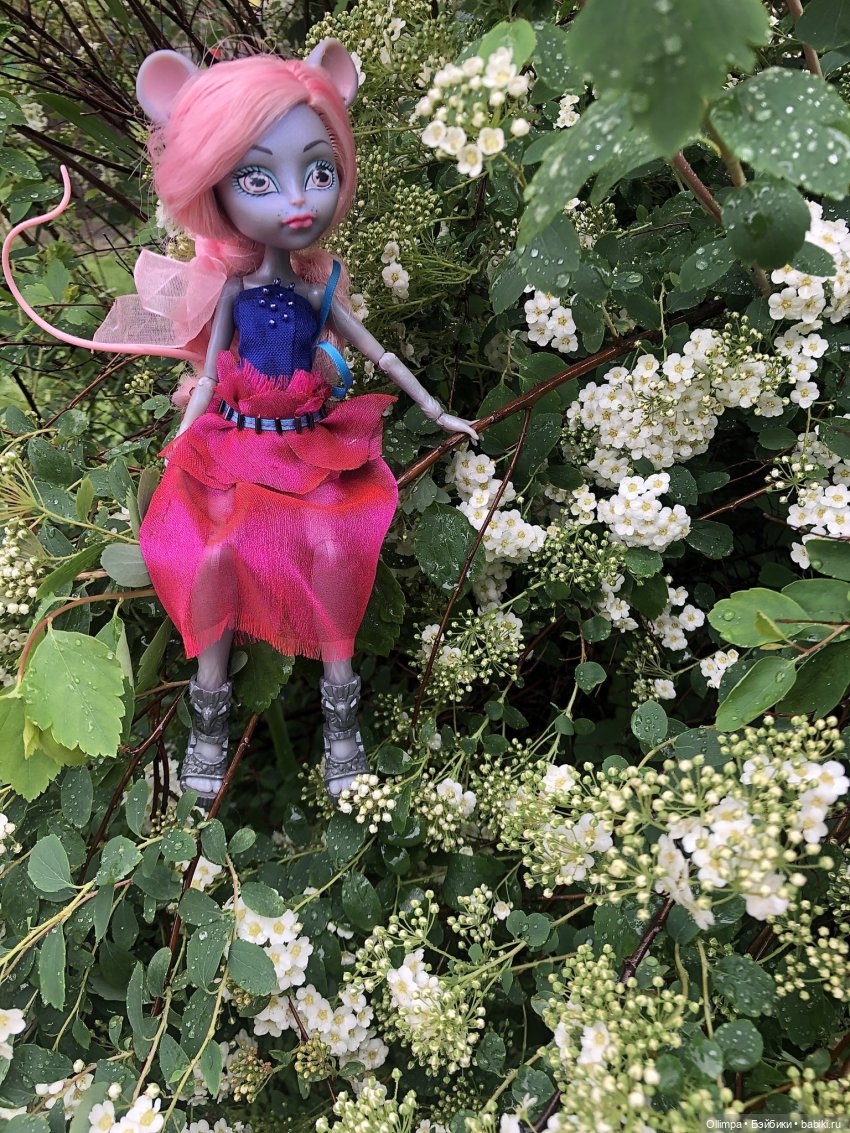 Мышка на свадьбе — Куклы Monster High и Ever After High: G1 (фото 4)