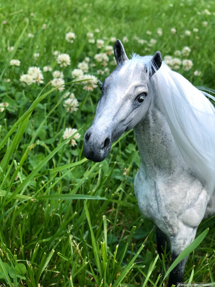 История одного коня "До и После"