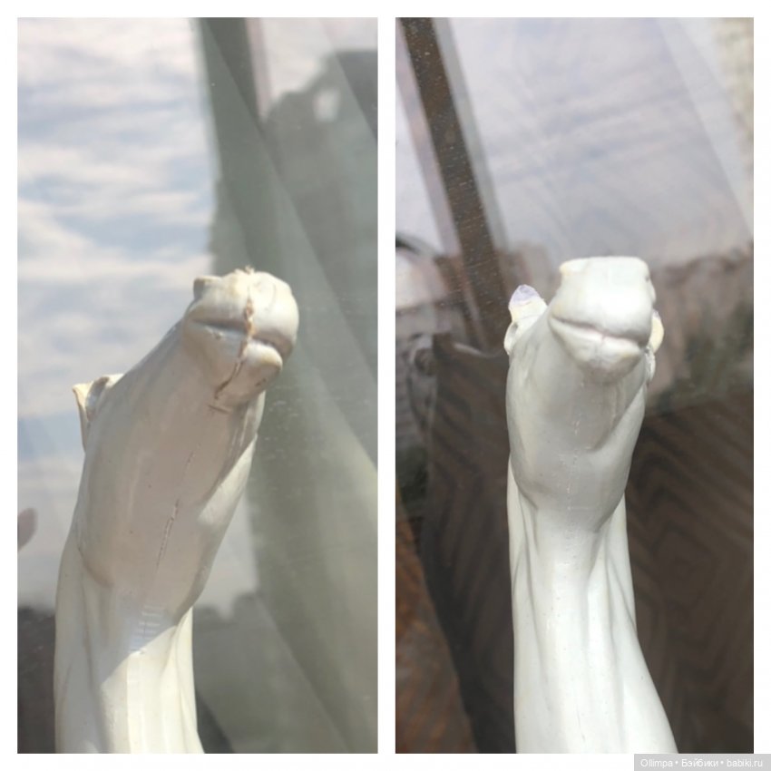 История одного коня "До и После" (фото 5)