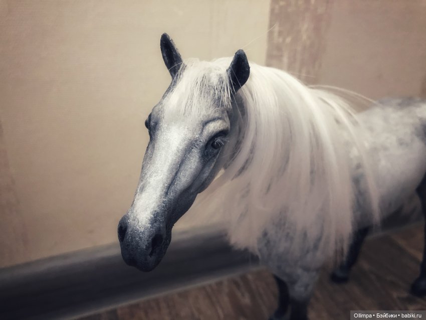 История одного коня "До и После" (фото 9)