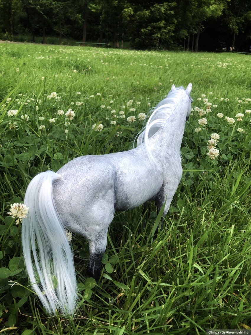 История одного коня "До и После"