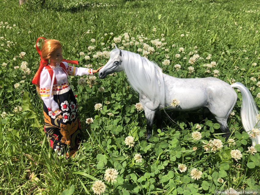 История одного коня "До и После"