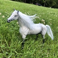 История одного коня "До и После"