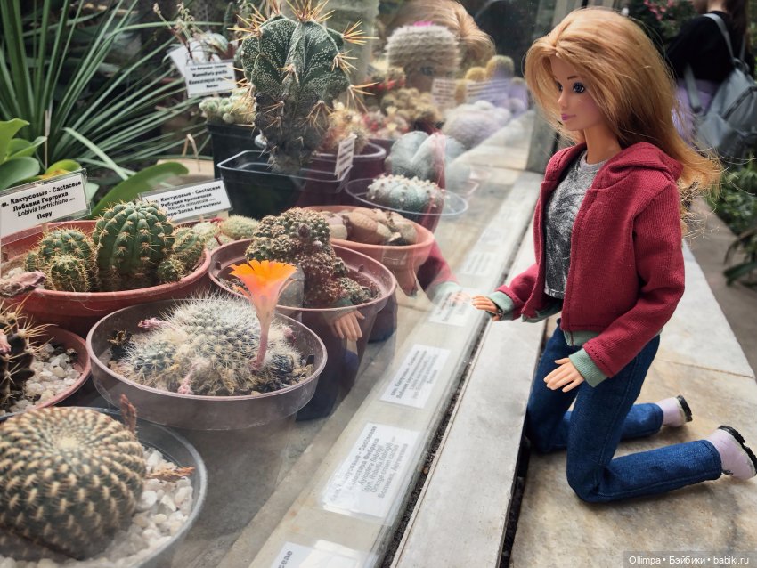 Виталина в Томске — Аналоги Барби и куклы 1/6: клоны 90