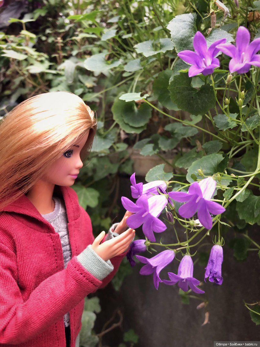 Виталина в Томске — Аналоги Барби и куклы 1/6: клоны 90
