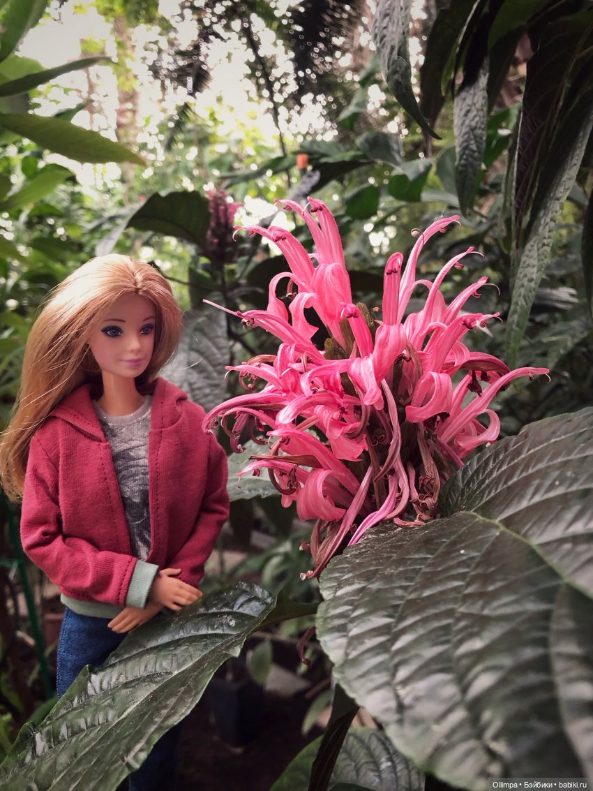 Виталина в Томске — Аналоги Барби и куклы 1/6: клоны 90