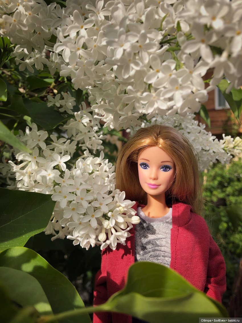 Виталина в Томске — Аналоги Барби и куклы 1/6: клоны 90