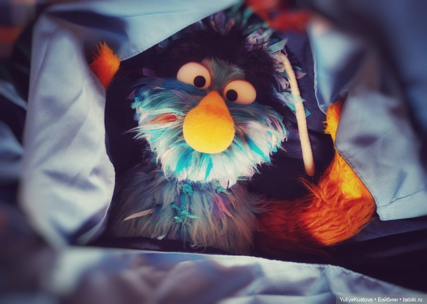 Дворовой Зелибоба. Небо в подарок