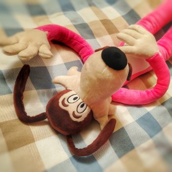 "В другой жизни я был псом сказочника". Мистер Пепперкорн дома