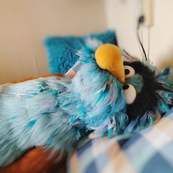 На Зелино фото из барнаульской мастерской, 2023