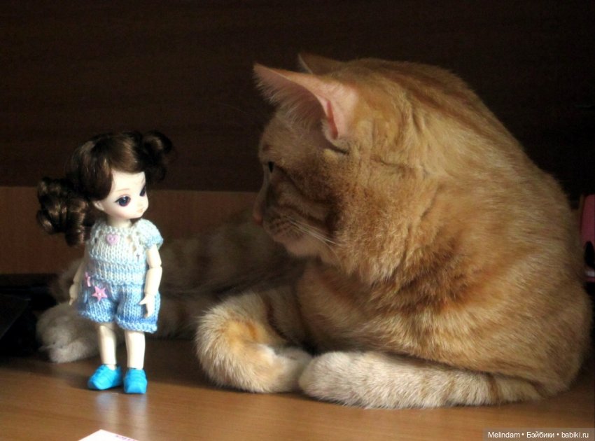 Ai - Циния - первый день в новом доме