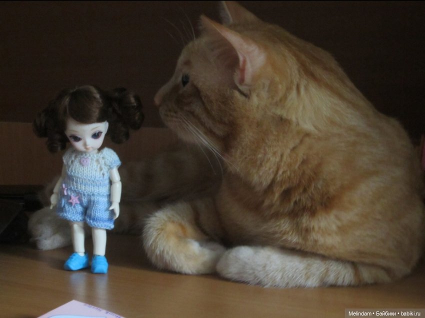 Ai - Циния - первый день в новом доме