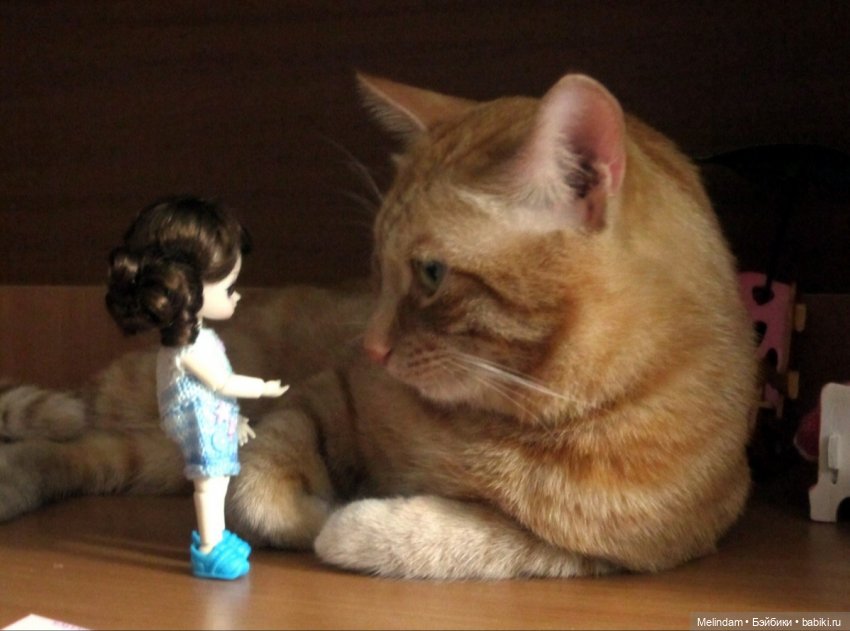 Ai - Циния - первый день в новом доме