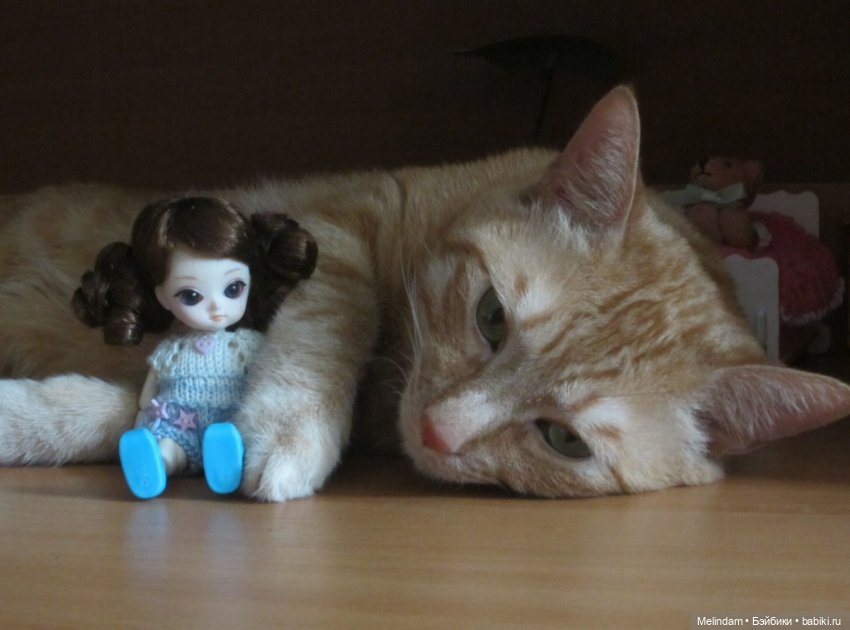 Ai - Циния - первый день в новом доме