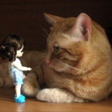 Ai - Циния - первый день в новом доме